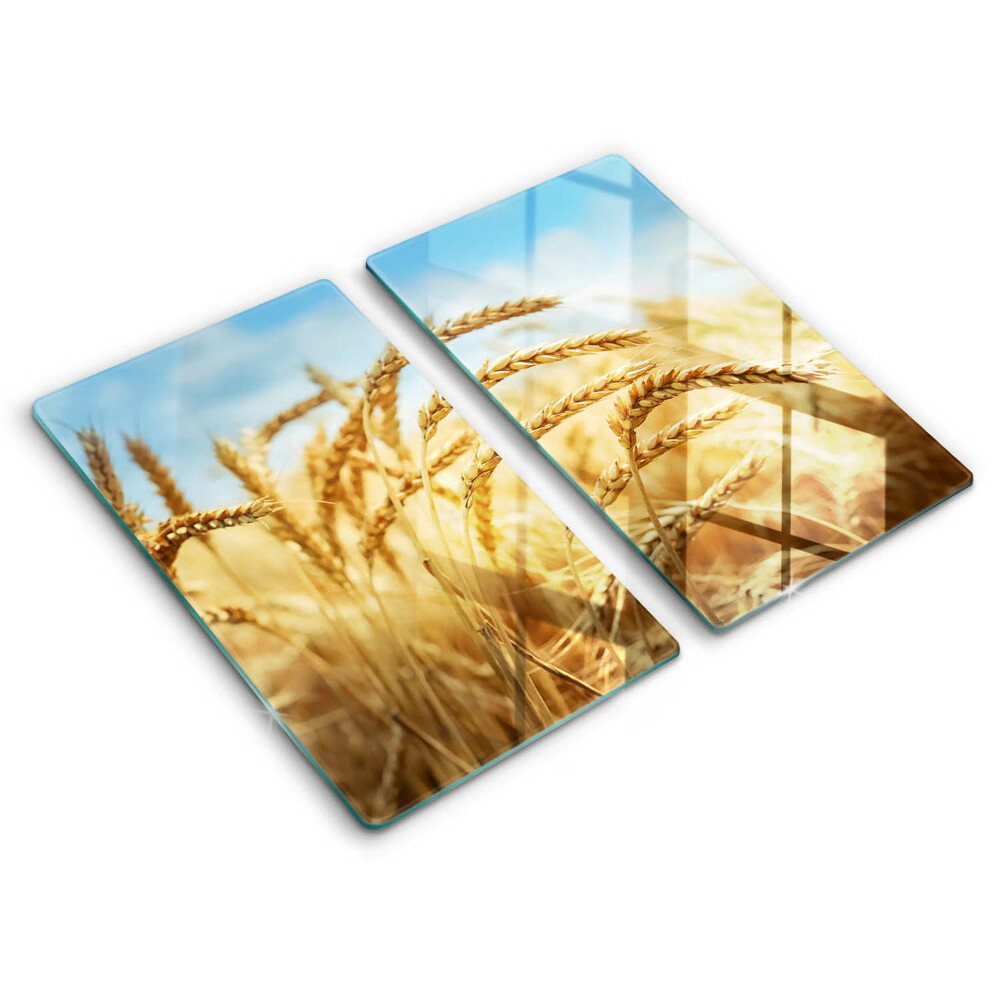 Placă din sticla protectie perete Spice de cereale în câmp