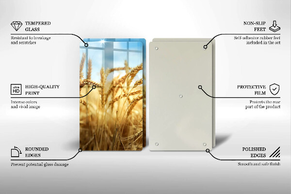 Placă din sticla protectie perete Spice de cereale în câmp