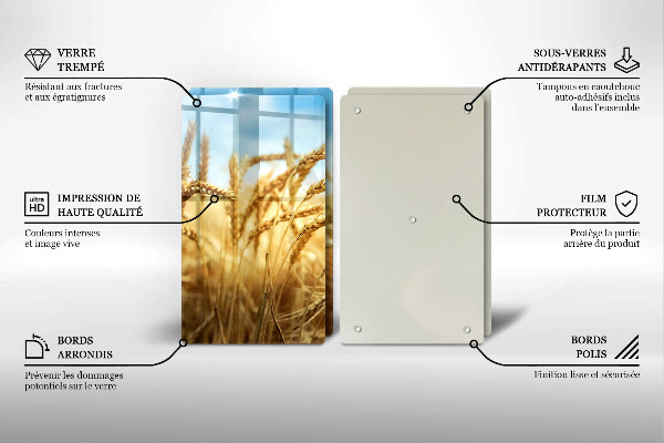 Placă din sticla protectie perete Spice de cereale în câmp