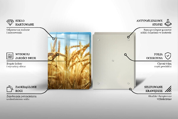 Placă din sticla protectie perete Spice de cereale în câmp