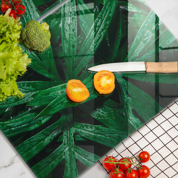 Placă din sticla protectie perete Frunze de plante