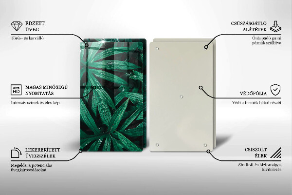 Placă din sticla protectie perete Frunze de plante