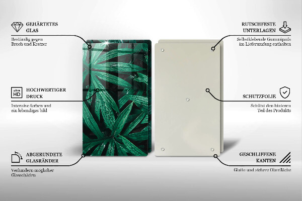 Placă din sticla protectie perete Frunze de plante