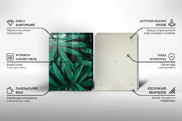 Placă din sticla protectie perete Frunze de plante