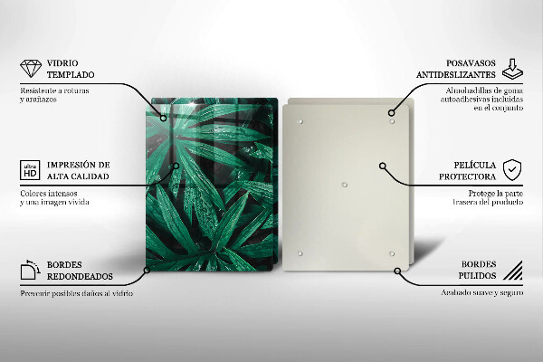 Placă din sticla protectie perete Frunze de plante