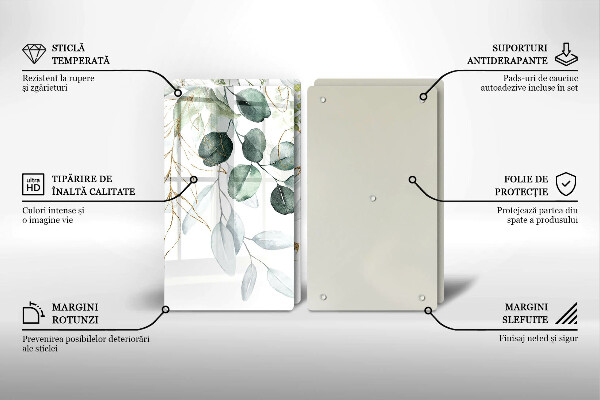 Placă din sticla protectie perete Plante pictate