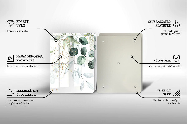 Placă din sticla protectie perete Plante pictate