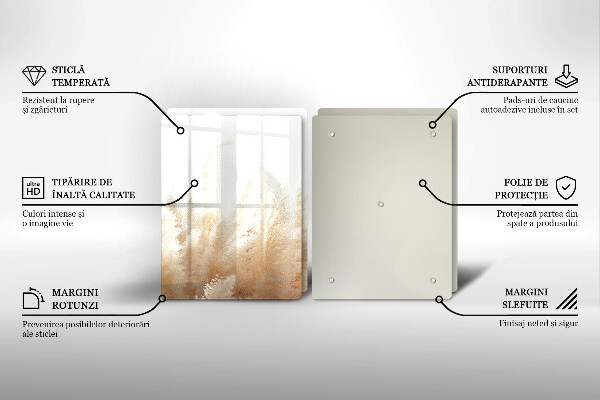 Placă sticla protectie aragaz Iarbă de pampas