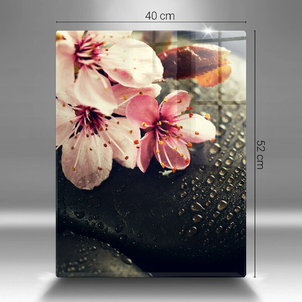 Placă protecție plita Flori pietre zen