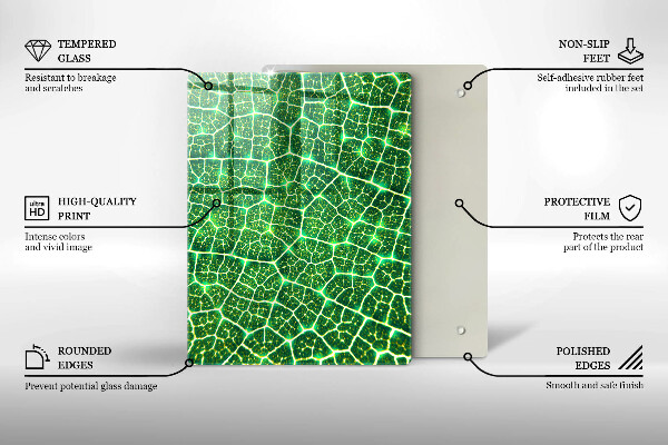 Placă din sticla protectie perete Structura frunzei