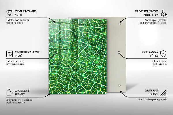 Placă din sticla protectie perete Structura frunzei
