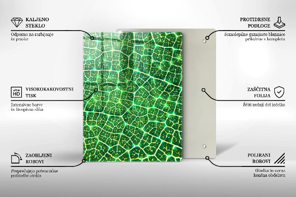 Placă din sticla protectie perete Structura frunzei