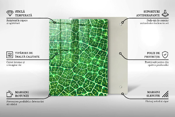 Placă din sticla protectie perete Structura frunzei