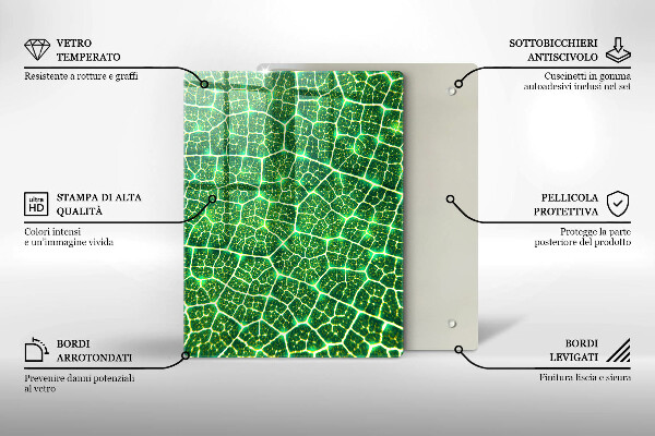 Placă din sticla protectie perete Structura frunzei