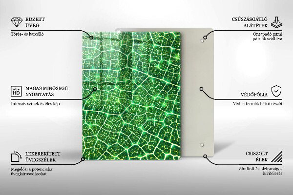 Placă din sticla protectie perete Structura frunzei