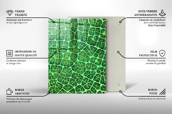 Placă din sticla protectie perete Structura frunzei
