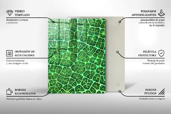 Placă din sticla protectie perete Structura frunzei