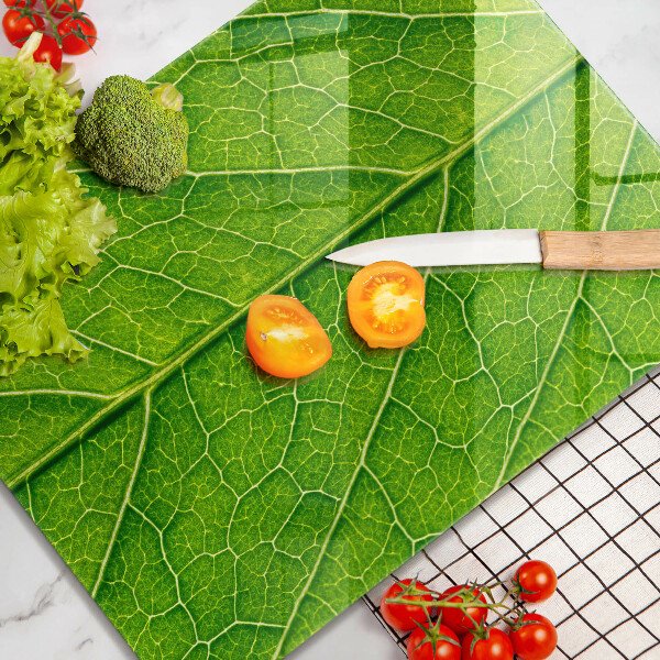 Placă din sticla protectie perete Venele frunzelor naturii