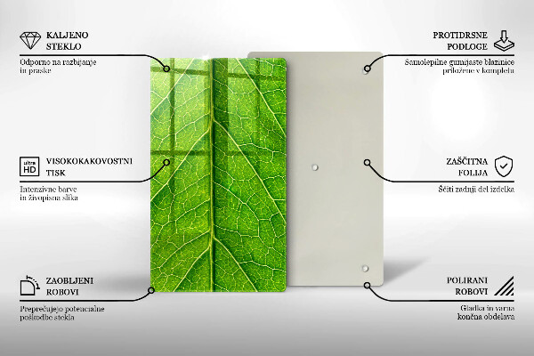 Placă din sticla protectie perete Venele frunzelor naturii