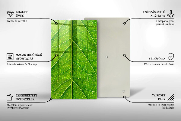 Placă din sticla protectie perete Venele frunzelor naturii