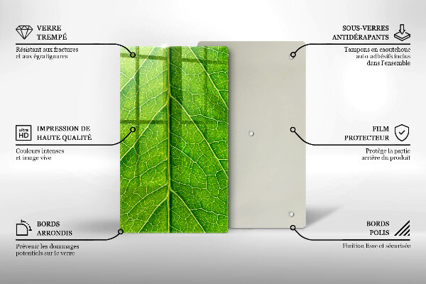 Placă din sticla protectie perete Venele frunzelor naturii