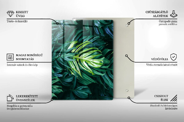 Placă din sticla protectie perete Frunze de monstera sălbatică