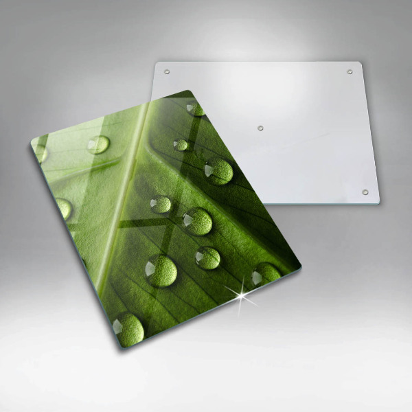 Placă din sticla protectie perete Natură rouă și frunze