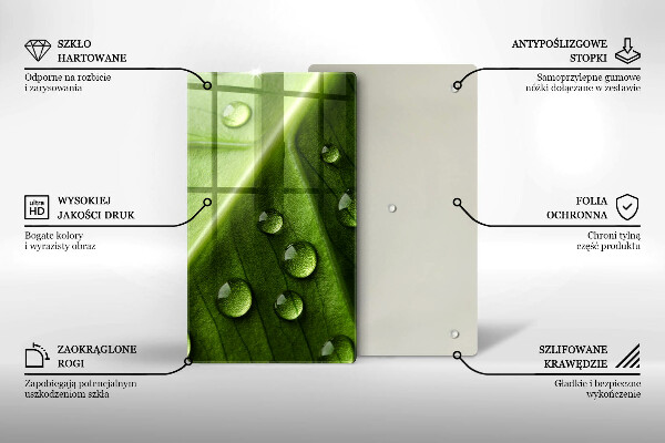 Placă din sticla protectie perete Natură rouă și frunze