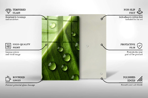 Placă din sticla protectie perete Natură rouă și frunze