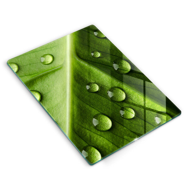 Placă din sticla protectie perete Natură rouă și frunze