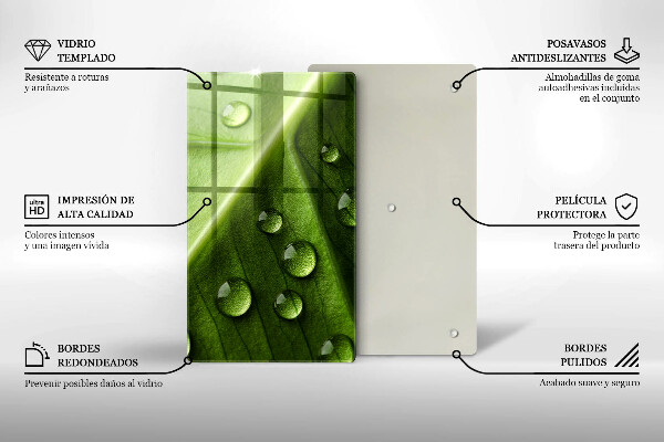 Placă din sticla protectie perete Natură rouă și frunze