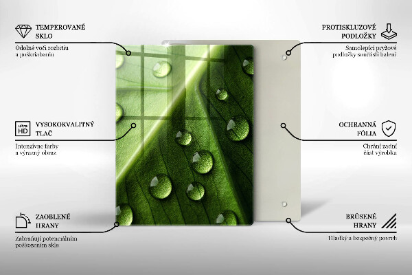 Placă din sticla protectie perete Natură rouă și frunze