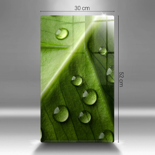 Placă din sticla protectie perete Natură rouă și frunze