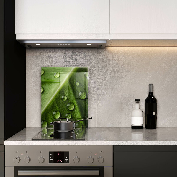 Placă din sticla protectie perete Natură rouă și frunze