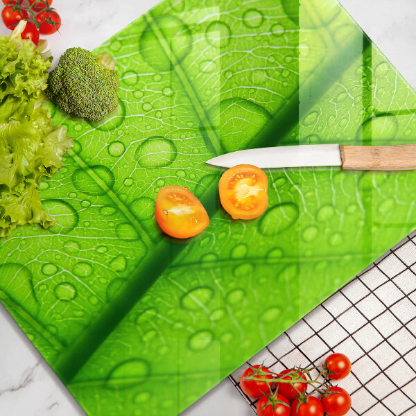 Placă protecție plita Prim-plan al unei frunze