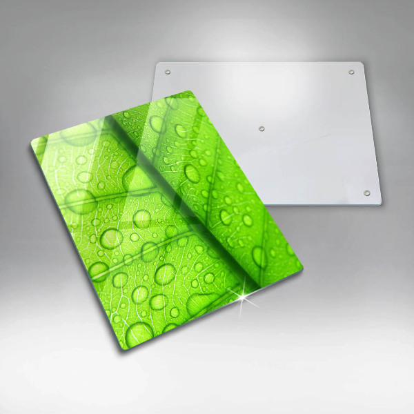 Placă protecție plita Prim-plan al unei frunze