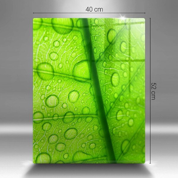 Placă protecție plita Prim-plan al unei frunze