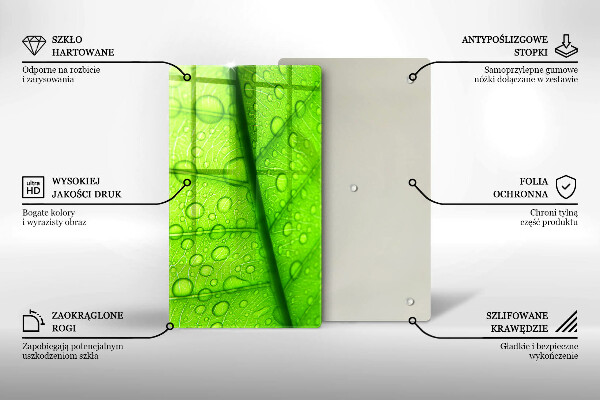 Placă protecție plita Prim-plan al unei frunze