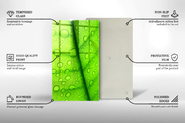 Placă protecție plita Prim-plan al unei frunze