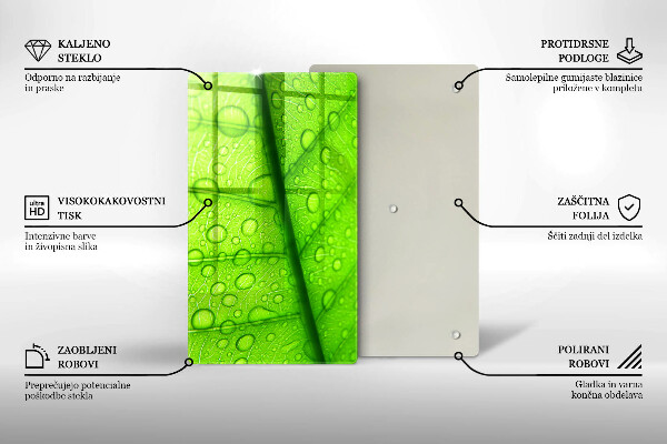Placă protecție plita Prim-plan al unei frunze