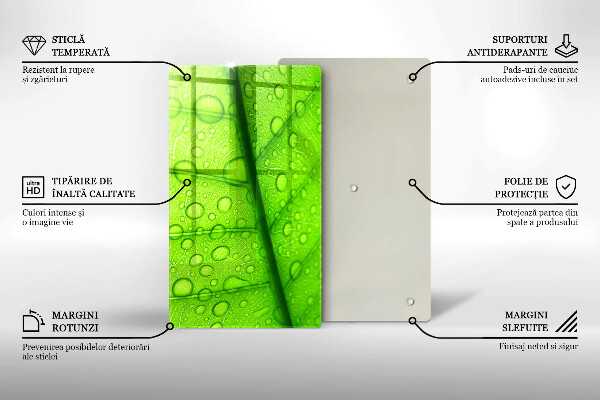 Placă protecție plita Prim-plan al unei frunze