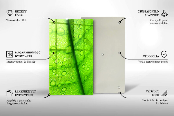 Placă protecție plita Prim-plan al unei frunze