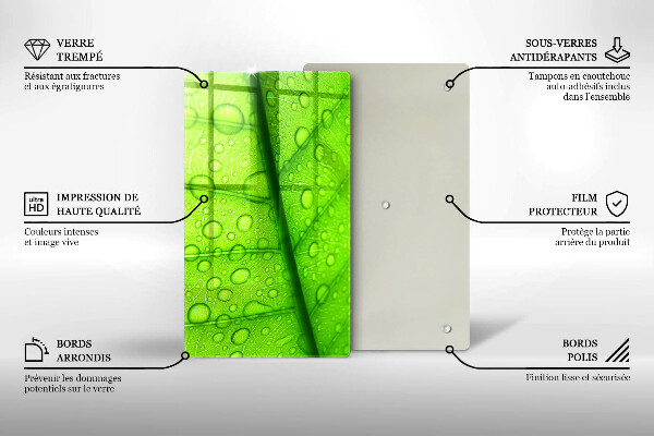 Placă protecție plita Prim-plan al unei frunze