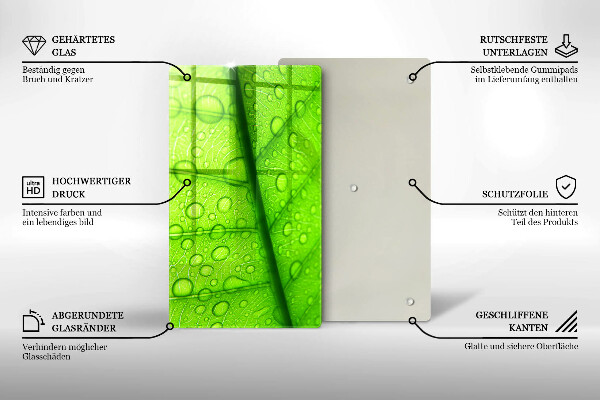 Placă protecție plita Prim-plan al unei frunze