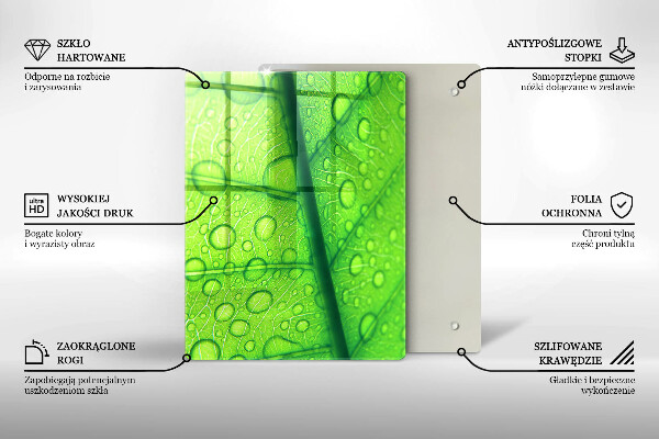 Placă protecție plita Prim-plan al unei frunze