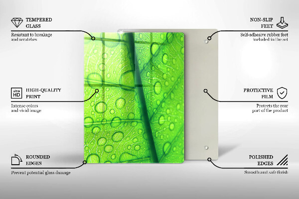 Placă protecție plita Prim-plan al unei frunze