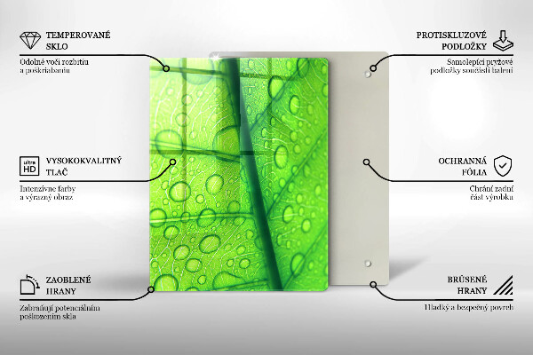 Placă protecție plita Prim-plan al unei frunze