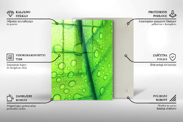 Placă protecție plita Prim-plan al unei frunze