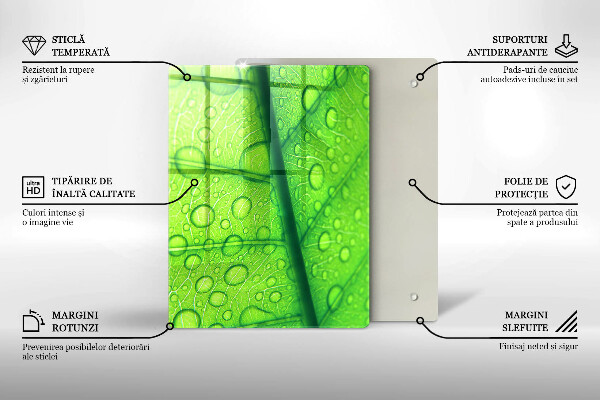 Placă protecție plita Prim-plan al unei frunze