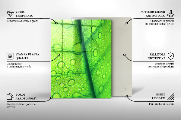 Placă protecție plita Prim-plan al unei frunze